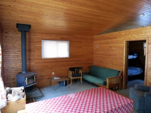 Cabin 4A living room